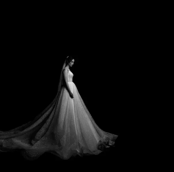 Wedding Photography Overlay